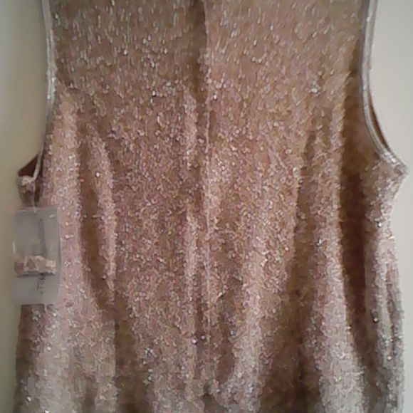 Adrianna Papell Beaded Silk Top New - Picture 7 of 8